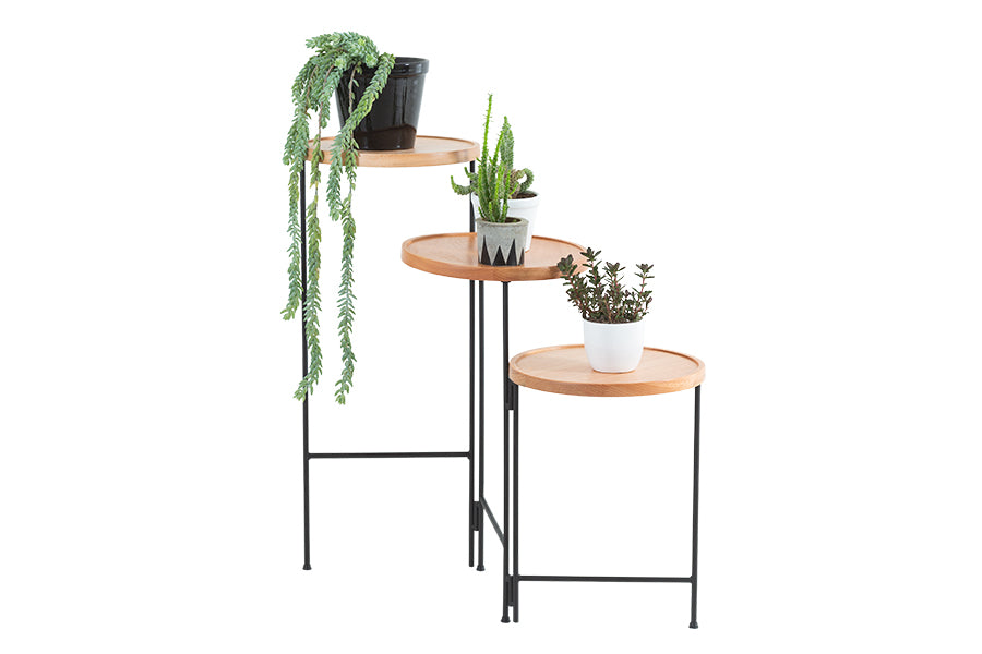 jardim vertical floreira articulável para jardim button natural em fundo infinito vista em diagonal com plantas