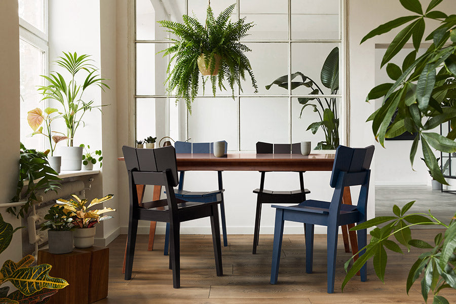 ambiente com cadeira colorida uma azul ao redor de uma mesa retangular em tom de madeira e plantas verdes ao redor